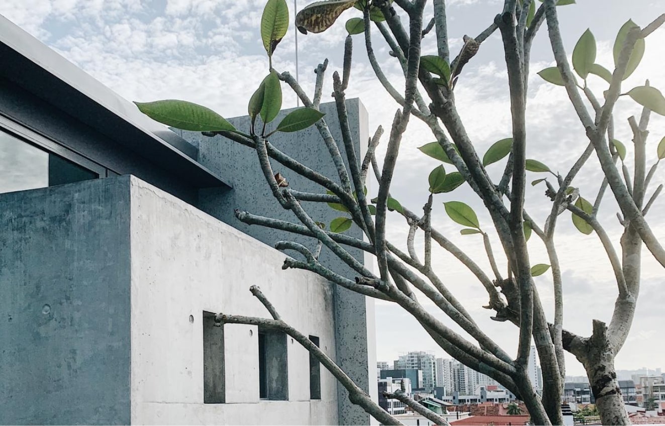 AlotMore-project-ls-gallery1-min